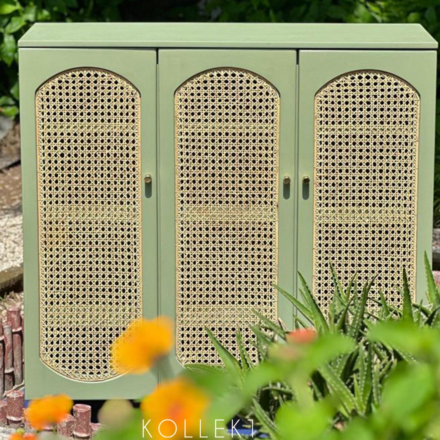 Corner Cane Cabinet